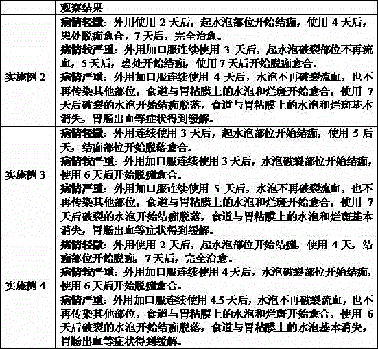 Medicine for preventing and treating animal foot-and-mouth disease