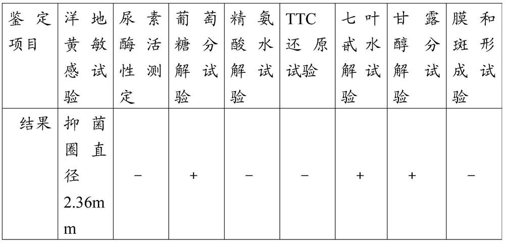 Mycoplasma hyopneumoniae, vaccine composition and application thereof