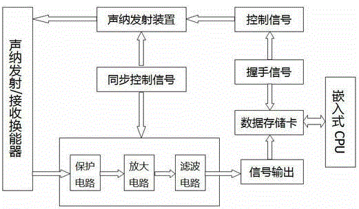 Detector for measuring swimming path of fishes