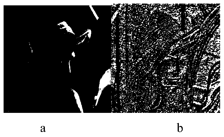 Image feature extraction method under variable illumination