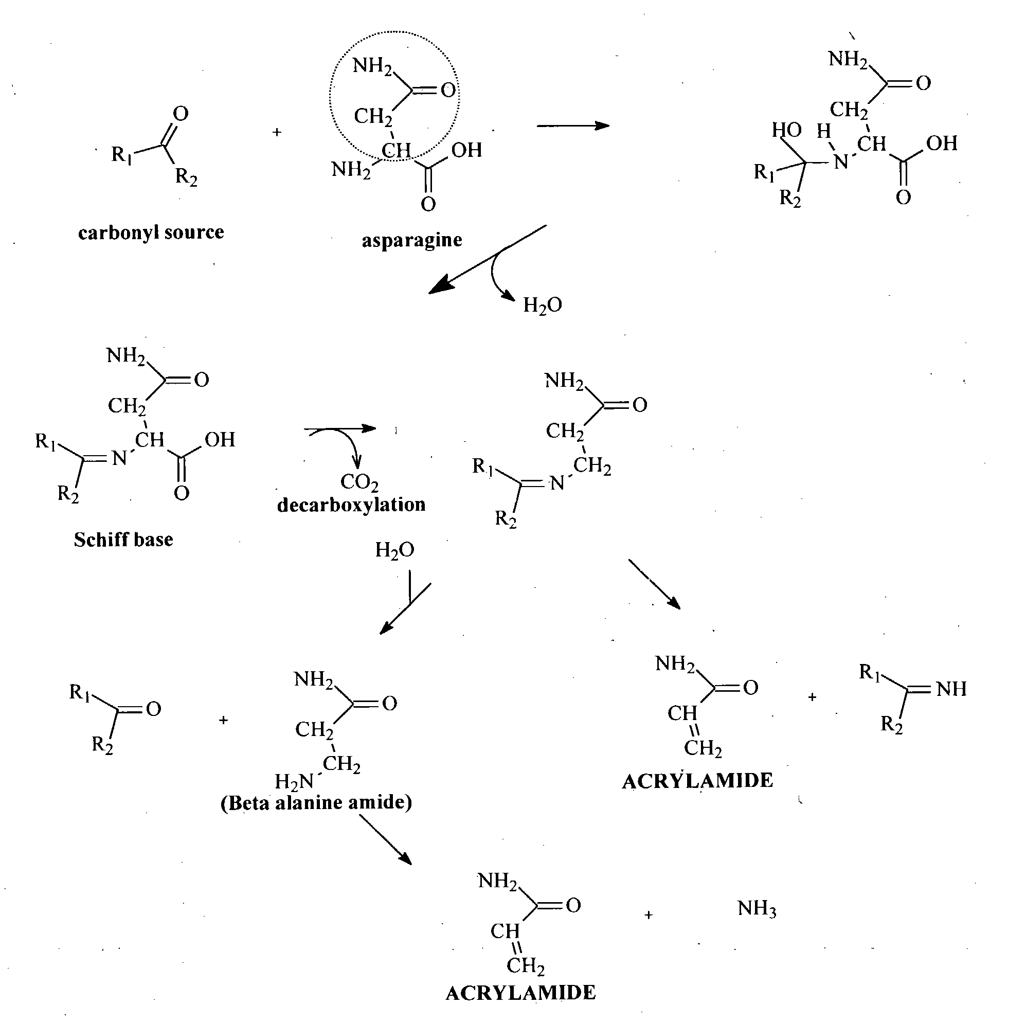 Method for reduction of acrylamide in cocoa products, cocoa products having reduced levels reduced levels of acrylamide, and article of commerce