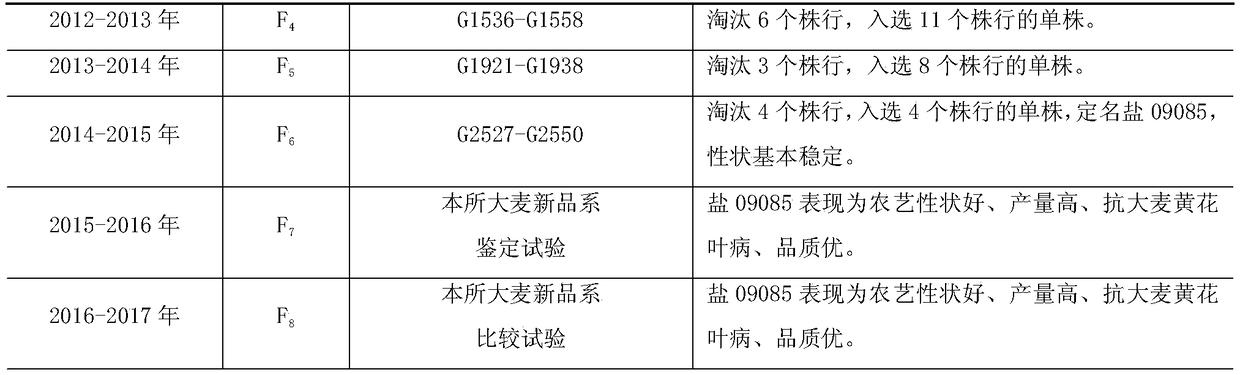 Breeding method of high-quality malting barley variety