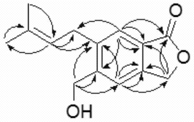 Preparation method and application of a kind of isopentenyl benzolactone compound in tobacco