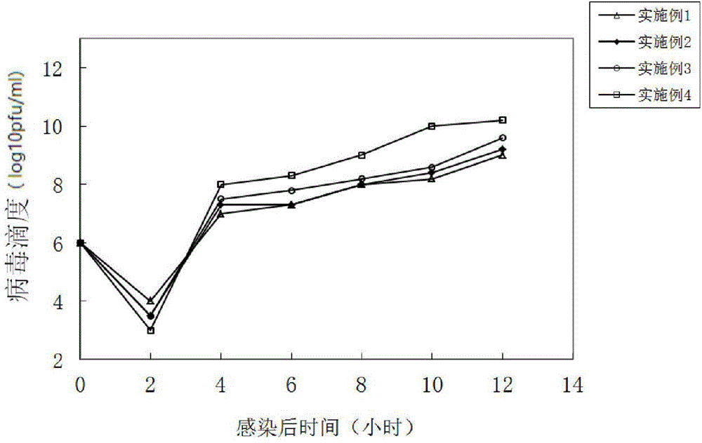 Coxsackievirus and application of coxsackievirus in preparation of anti-tumor drugs