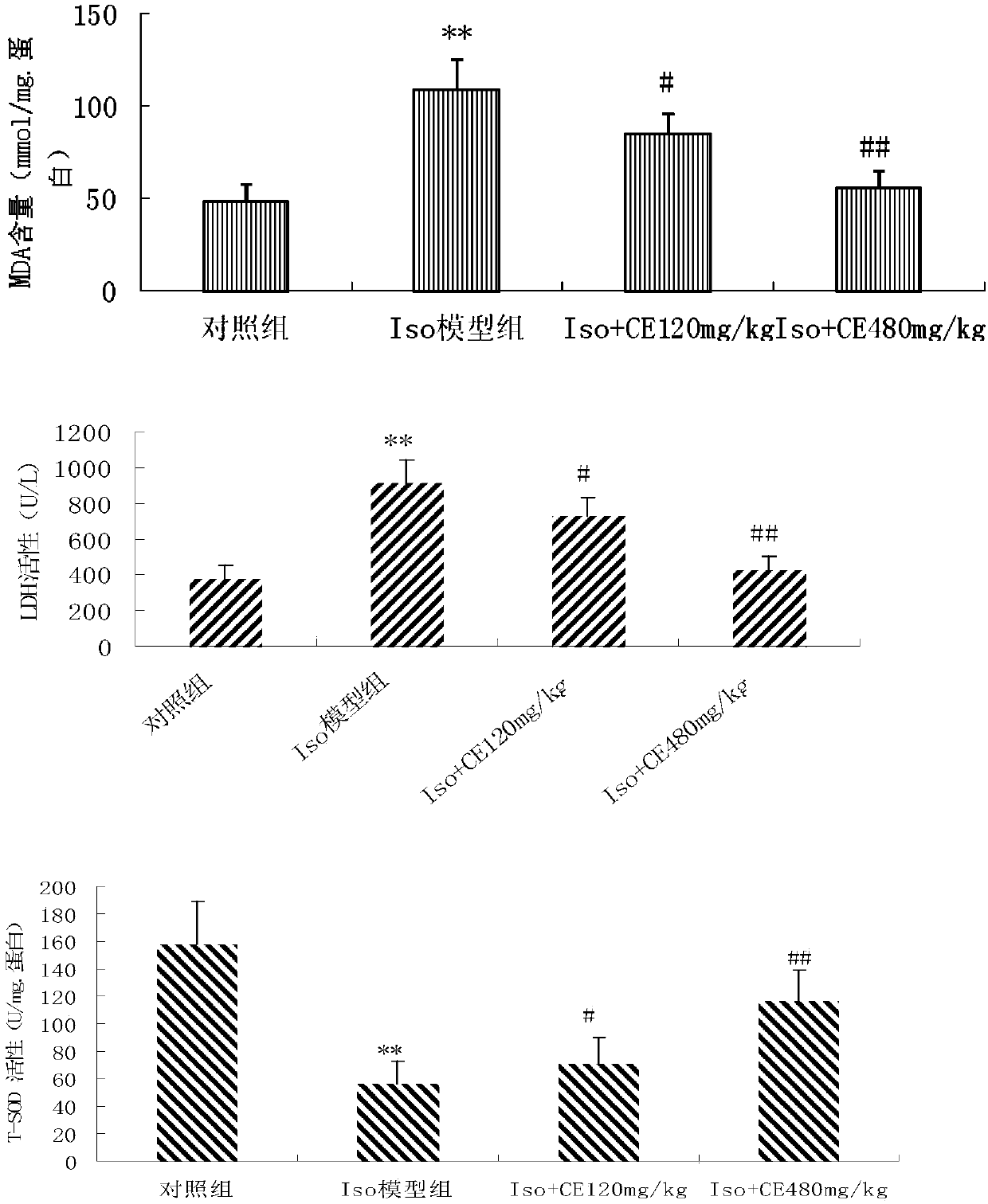 Application of chrysanthemum morifolium extract in preparation of medicine for preventing and treating cardiac hypertrophy