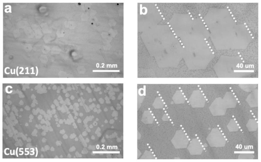 Method for growing single crystal graphene by using single crystal copper foil with optional index surface