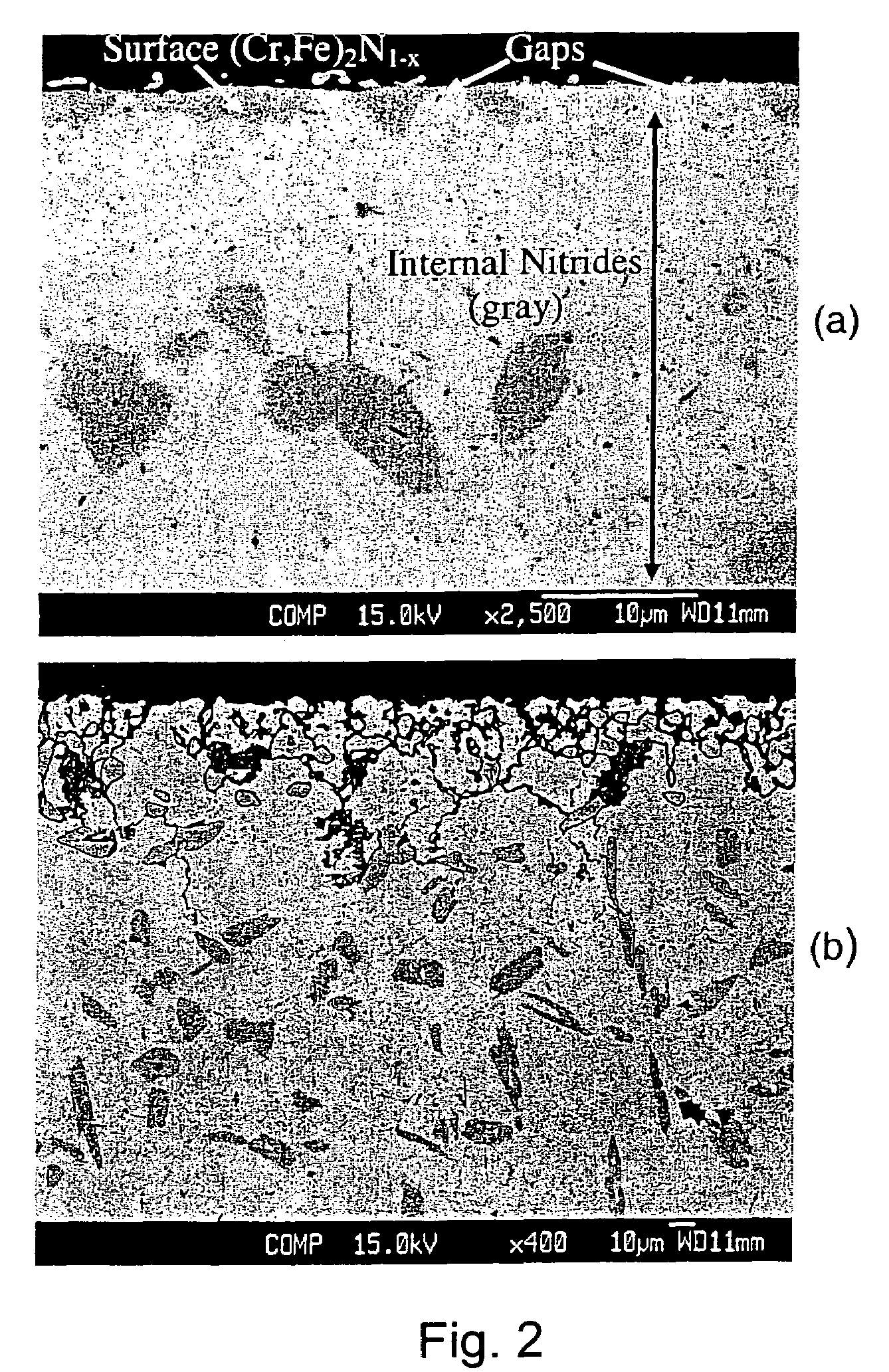 Surface modified stainless steels for PEM fuel cell bipolar plates