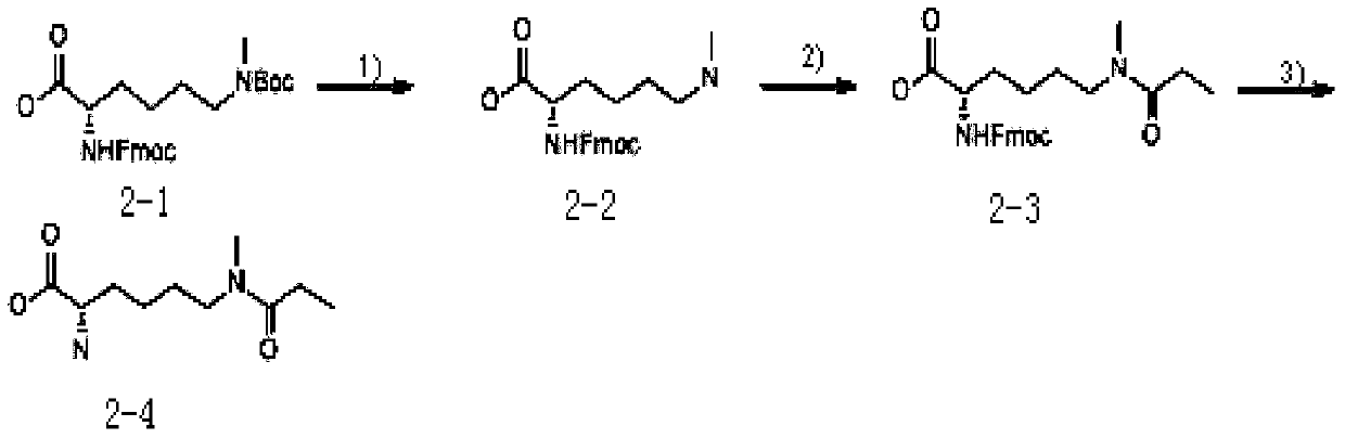 Method for identifying single methylated modification of lysine epsilon-amino group side chain