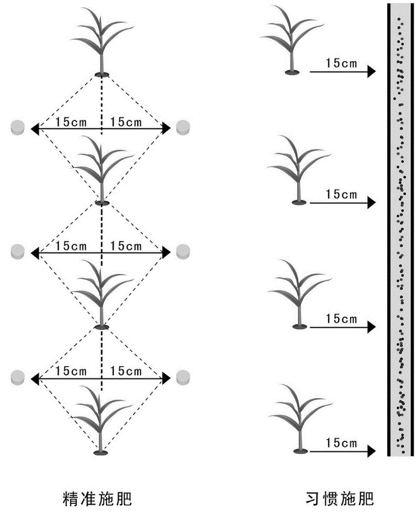 A method for precise and quantitative fertilization of high-yield summer maize