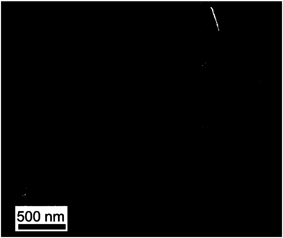 Method for preparing homogenous barrier layer/frame structure by means of titanium tetrachloride hydrolysis and application thereof