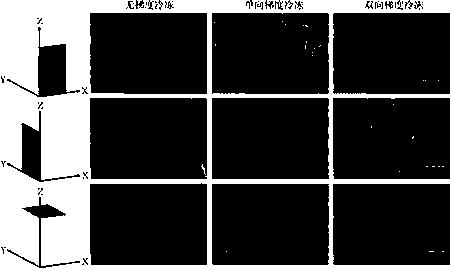 Method for preparing cellulose-based aerogel by bidirectional gradient