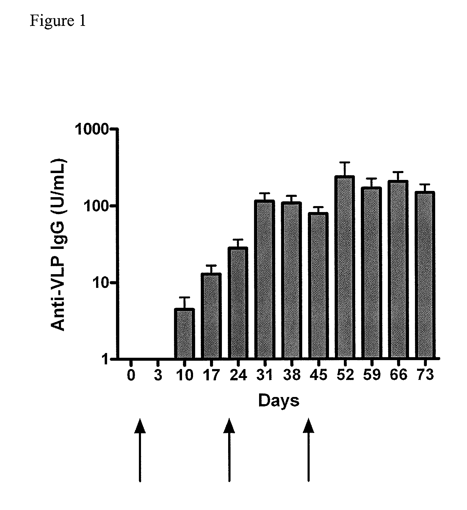 Method of conferring a protective immune response to norovirus