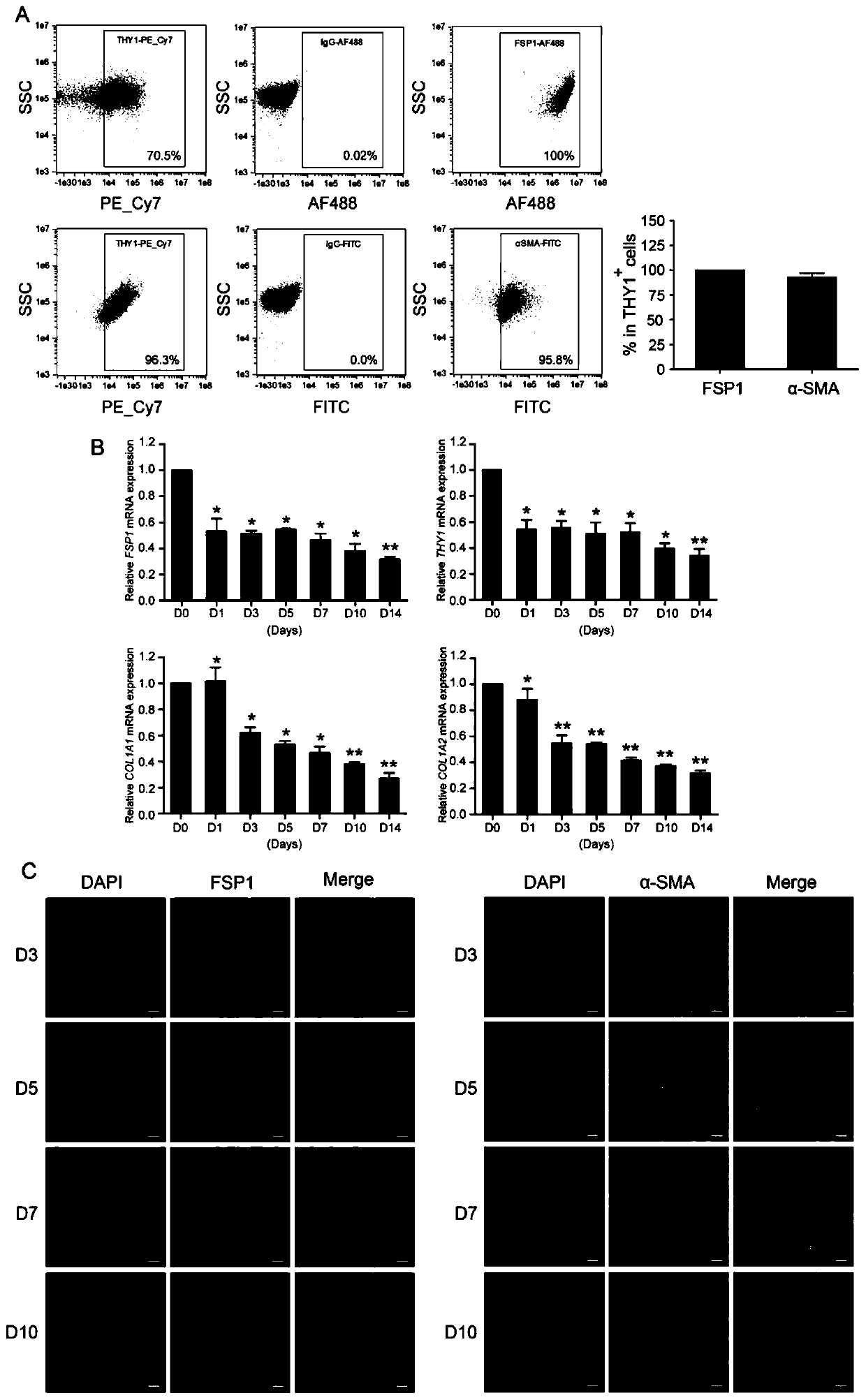 Method for preparing heart progenitor cells