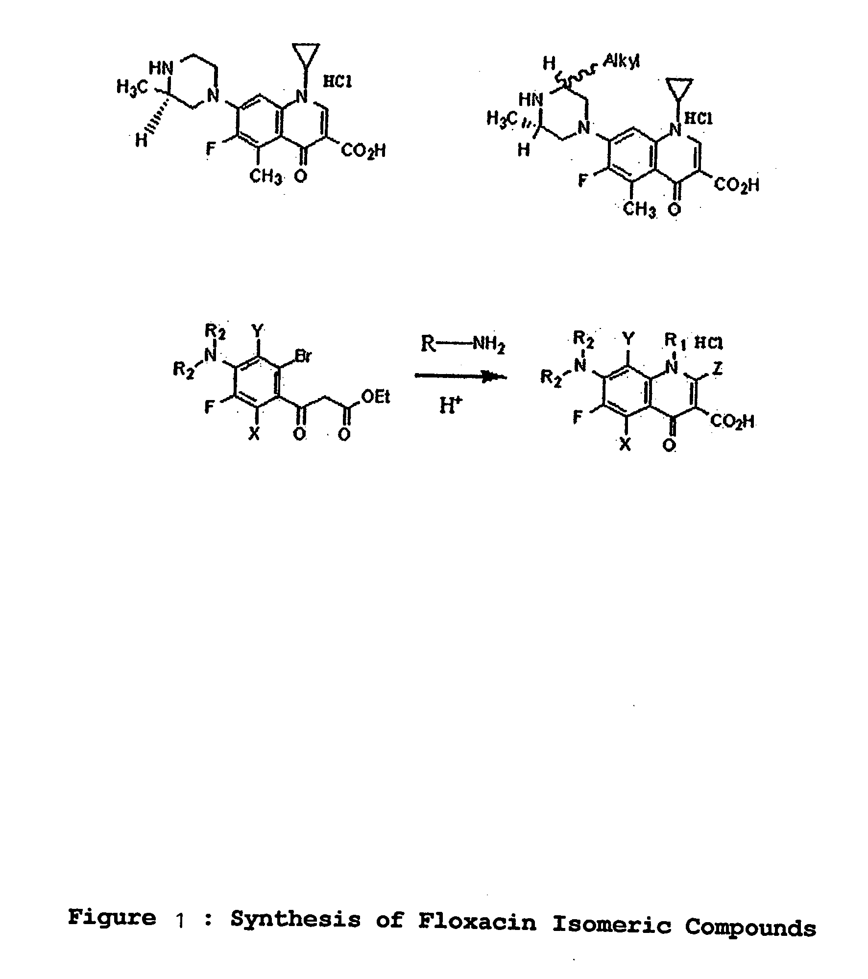 Synthesis, characterization and biological action of optically active isomers of floxacins