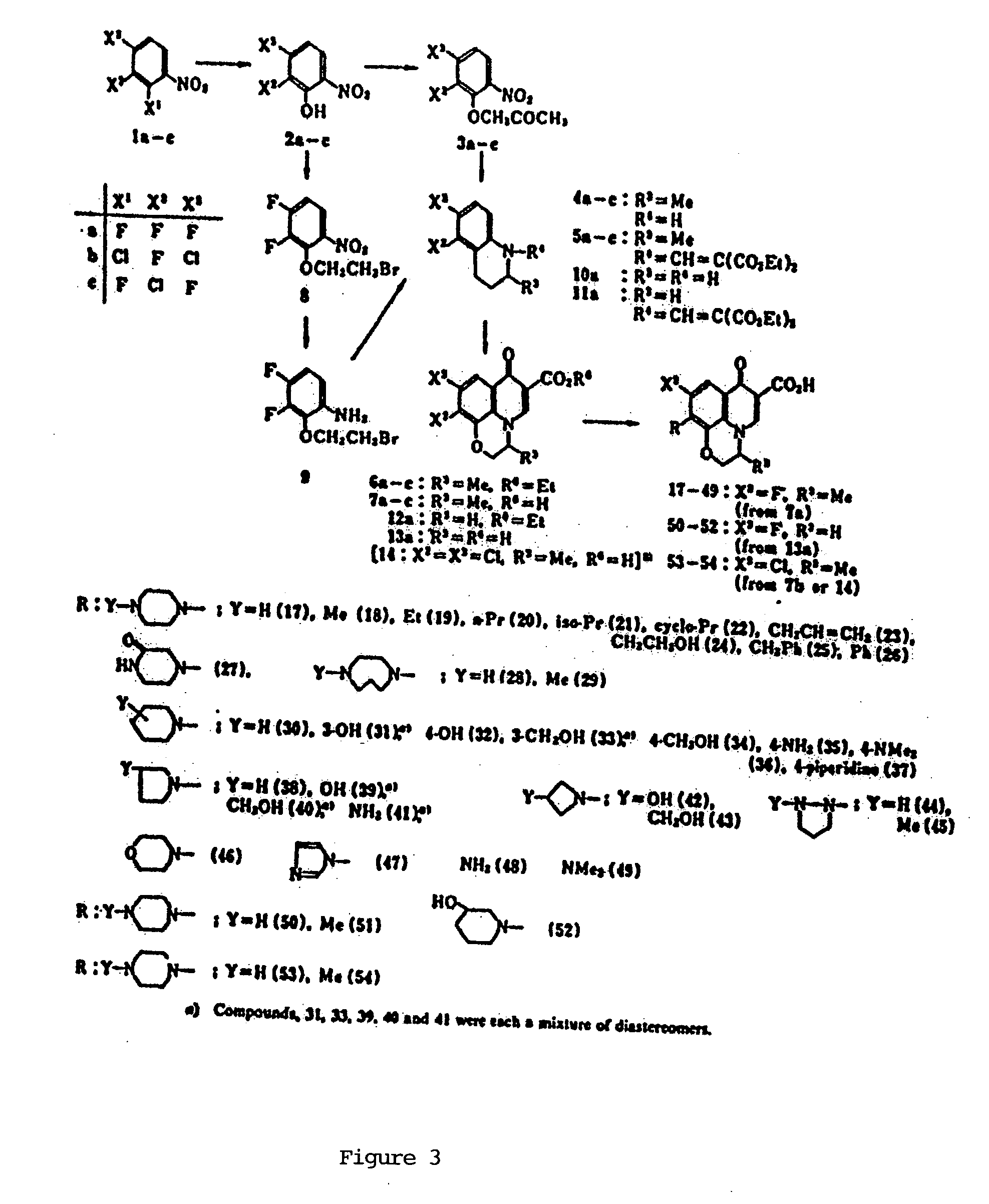 Synthesis, characterization and biological action of optically active isomers of floxacins