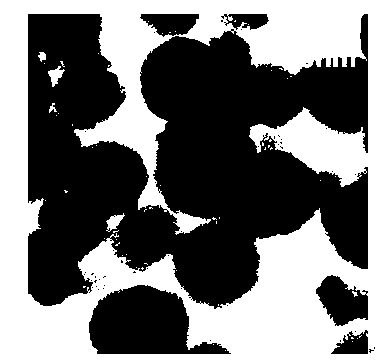 Controllable preparation method of silver phosphate nanocrystal photocatalytic material