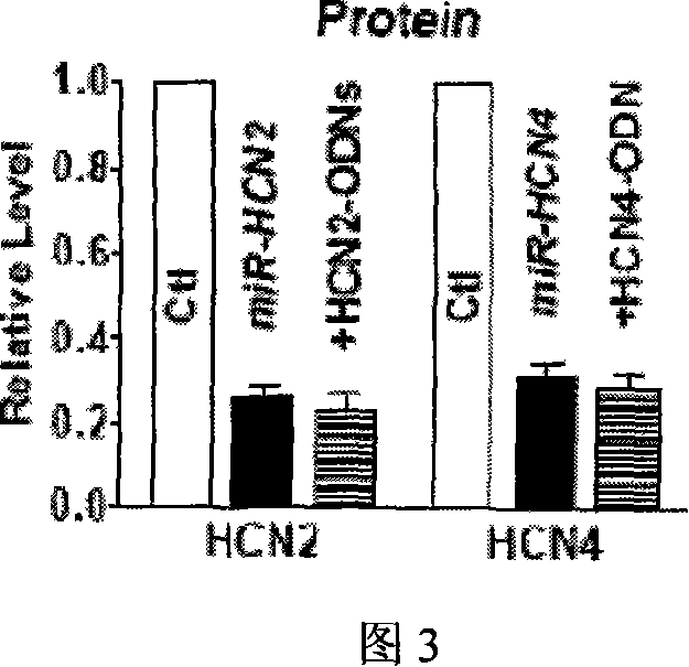 A miRNA barrier technique