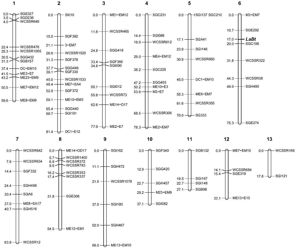 Towel gourd fruit bitter taste gene LaBt and molecular marker used for auxiliary selection for bitter taste property of fruit