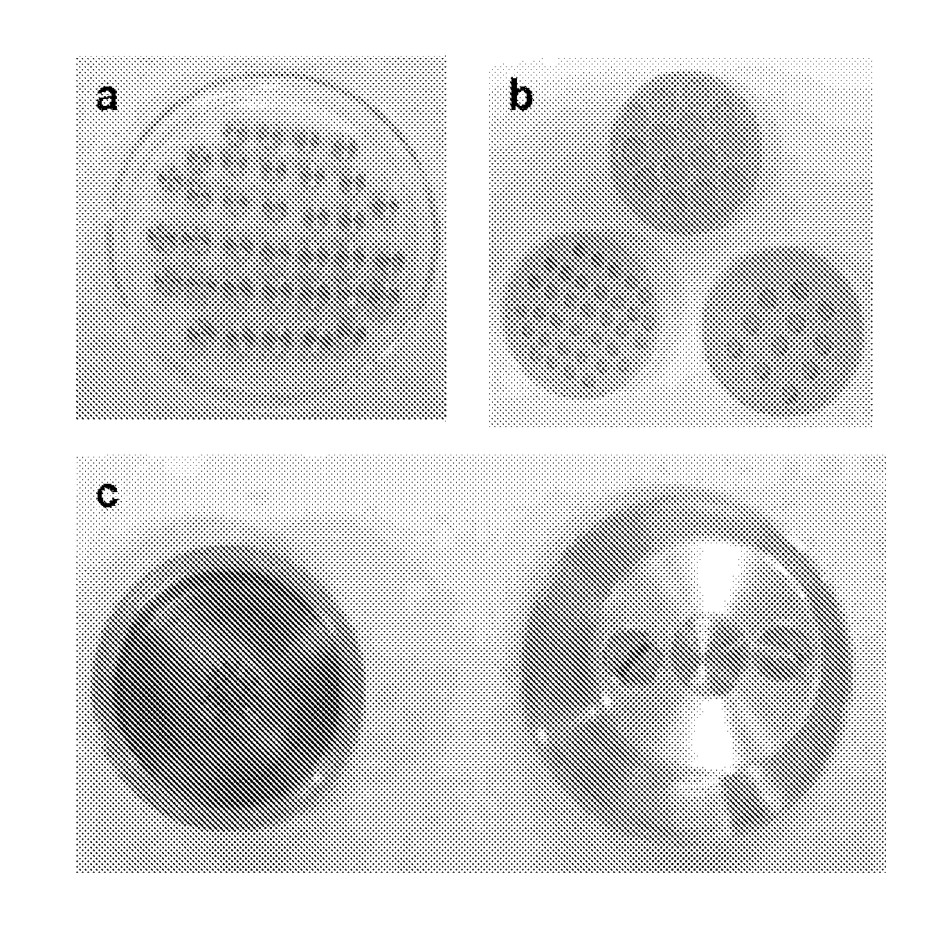 Three-dimensional matrices of structured porous monetite for tissue engineering and bone regeneration, and method of the preparation thereof