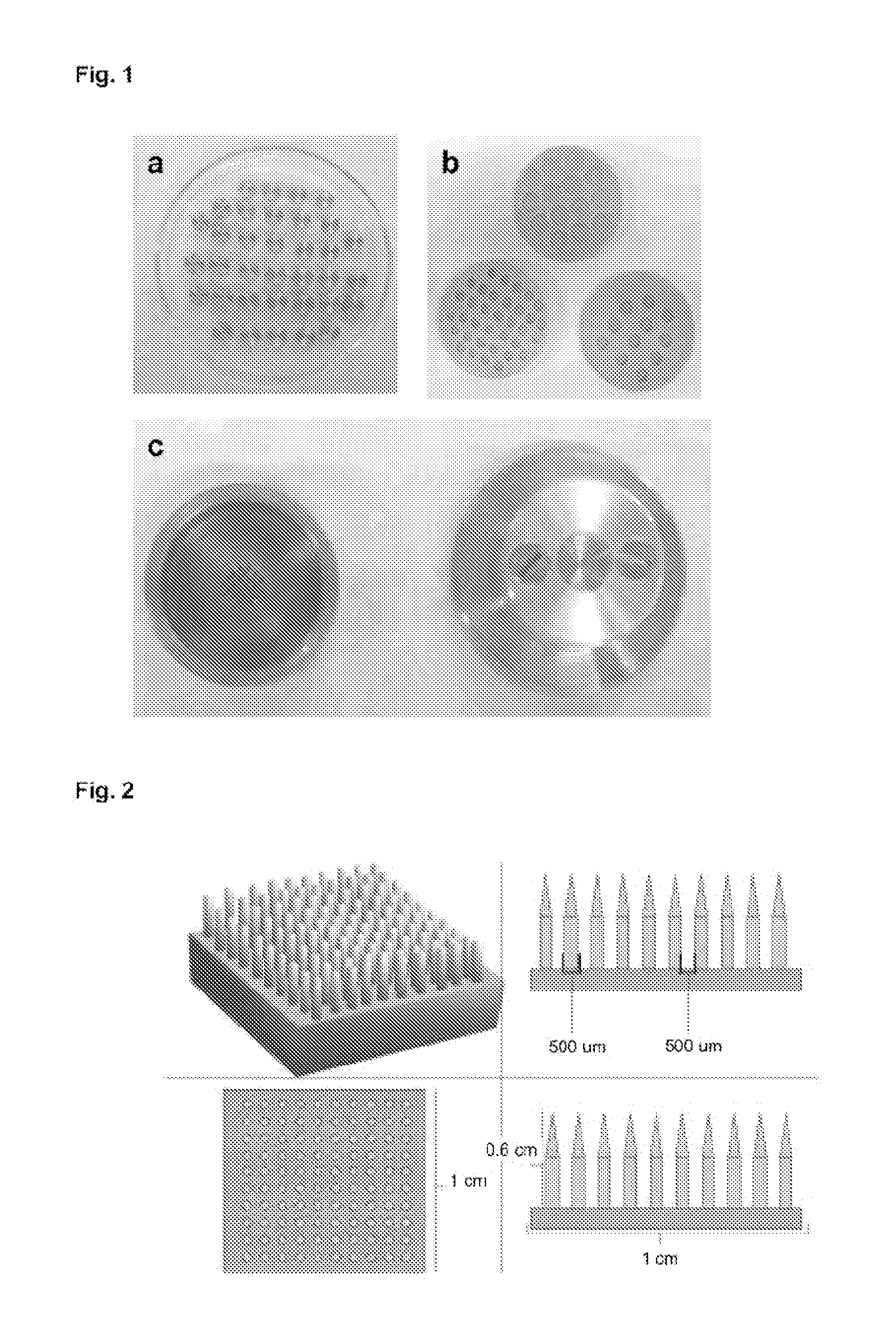 Three-dimensional matrices of structured porous monetite for tissue engineering and bone regeneration, and method of the preparation thereof