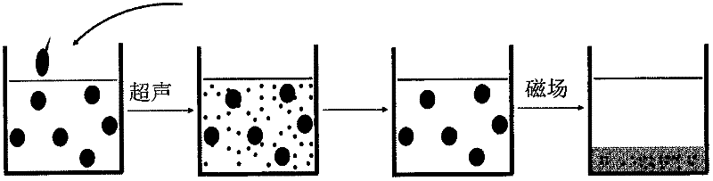 Method for performing ultrasonic separation on oily wastewater with oil-soluble ferroferric oxide nanoparticles