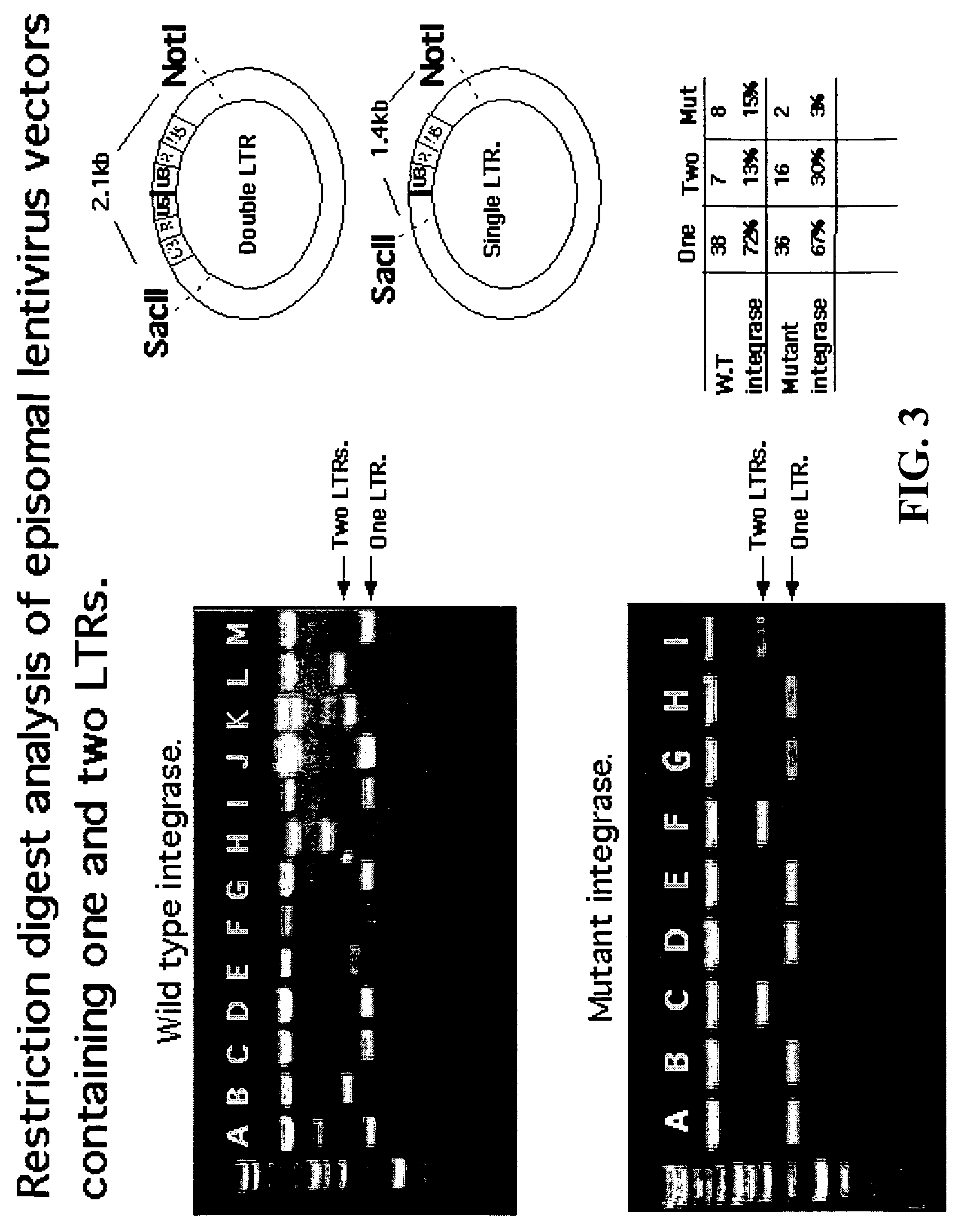 Single LTR lentivirus vector