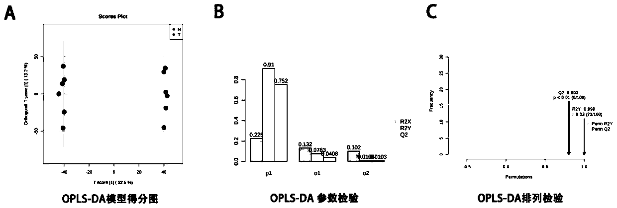 Marker for early diagnosis of diabetes mellitus and kit thereof, and application of marker for early diagnosis of diabetes mellitus