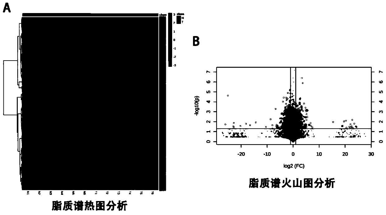 Marker for early diagnosis of diabetes mellitus and kit thereof, and application of marker for early diagnosis of diabetes mellitus