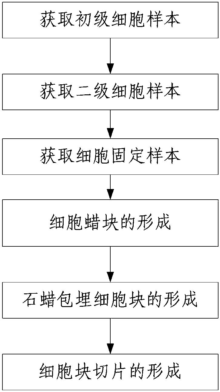 Production method of cell block paraffin section for fully presenting position of malignant cell