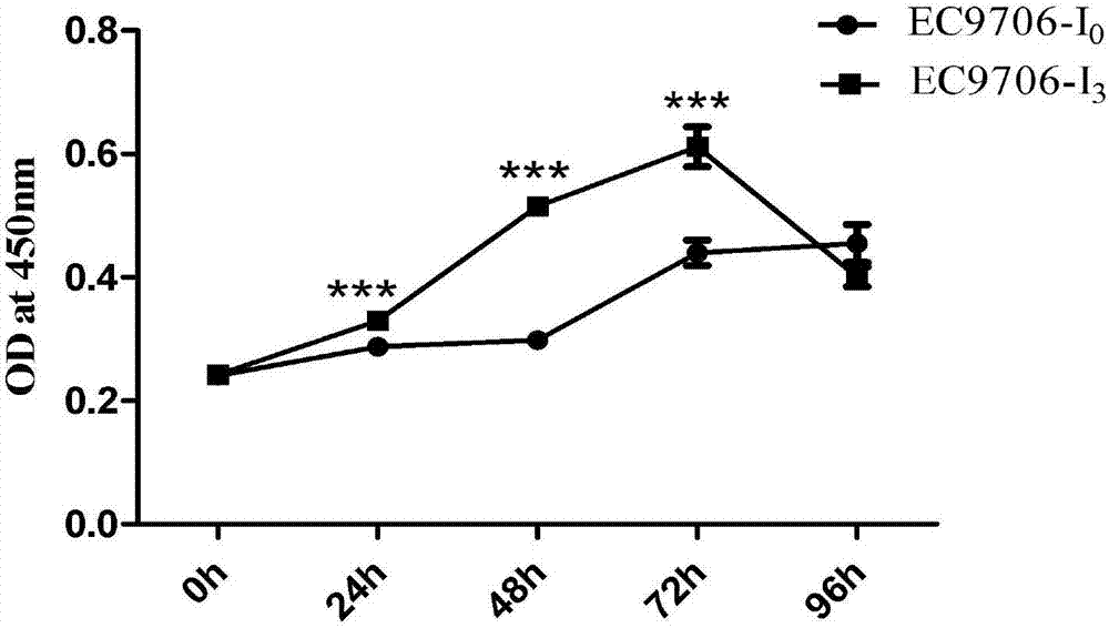 Method for establishing early metastasis model of esophageal squamous carcinoma