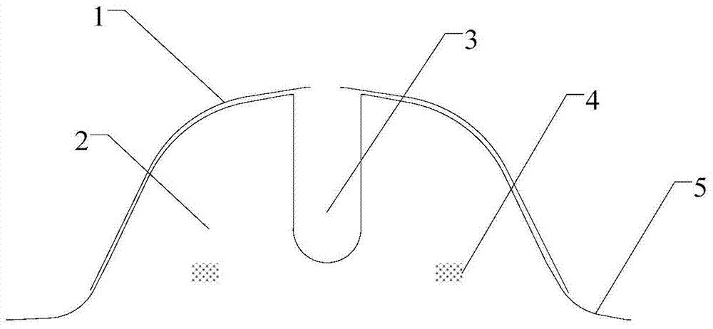 Positional Transplanting Method of Tobacco Seedlings