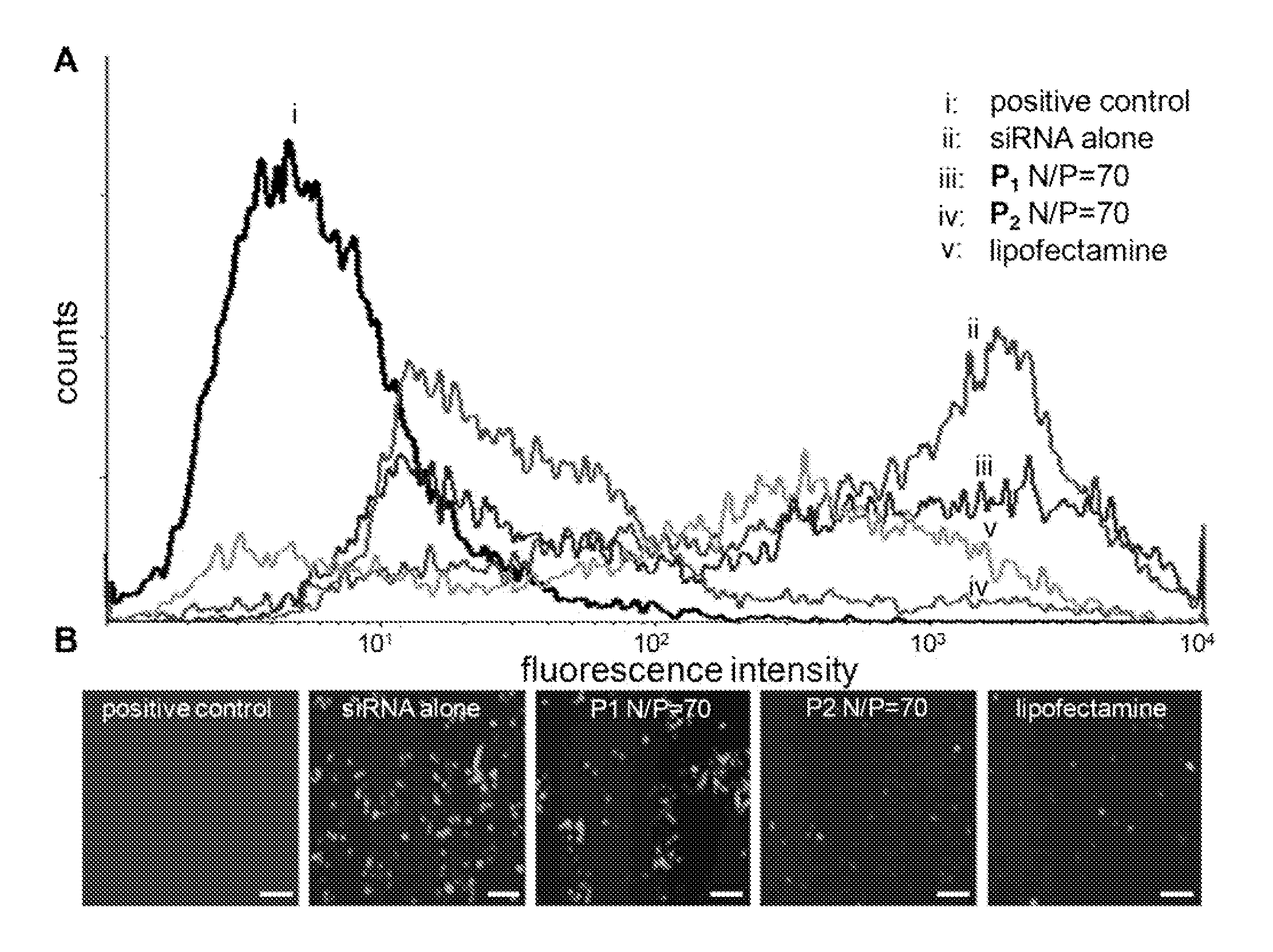 Single-monomer derived linear-like copolymer comprising polyethylenimine and poly(ethylene glycol) for nucleic acid delivery