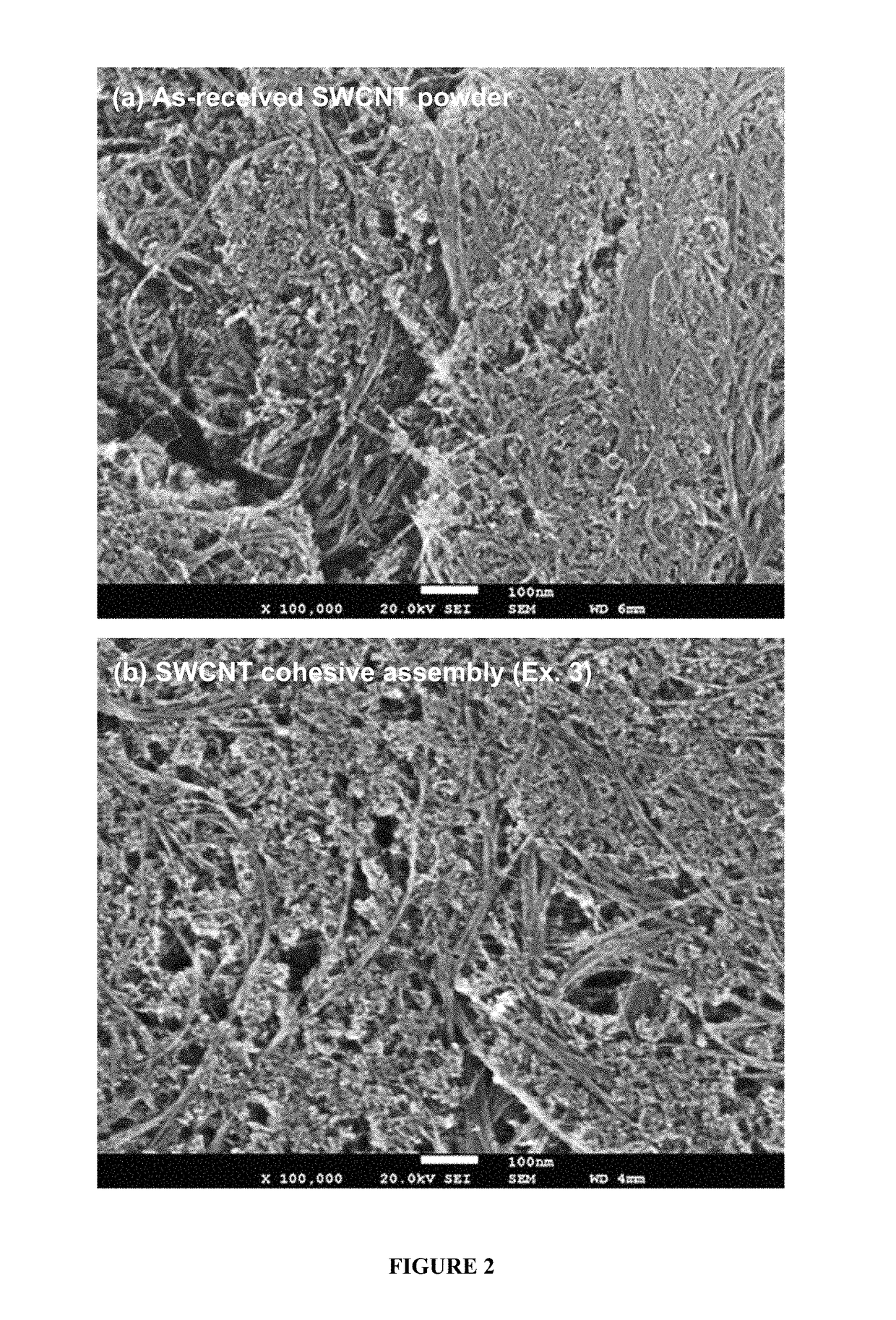 Highly purified carbon nanotubes and method of their preparation