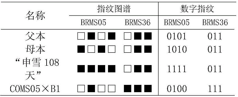 Fingerprint spectrum of cauliflower hybrid and construction method thereof