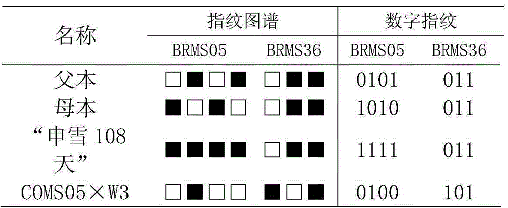 Fingerprint spectrum of cauliflower hybrid and construction method thereof