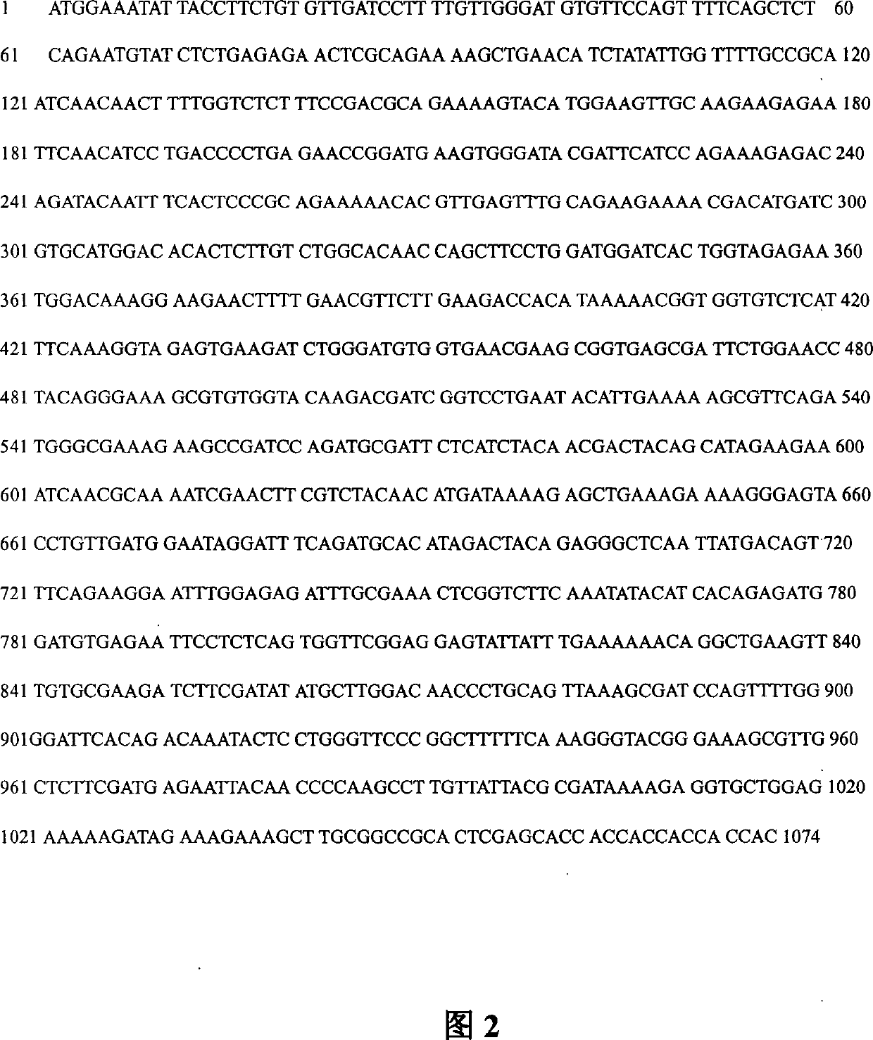 Heat-resisting xylanase and gene coding the xylanase