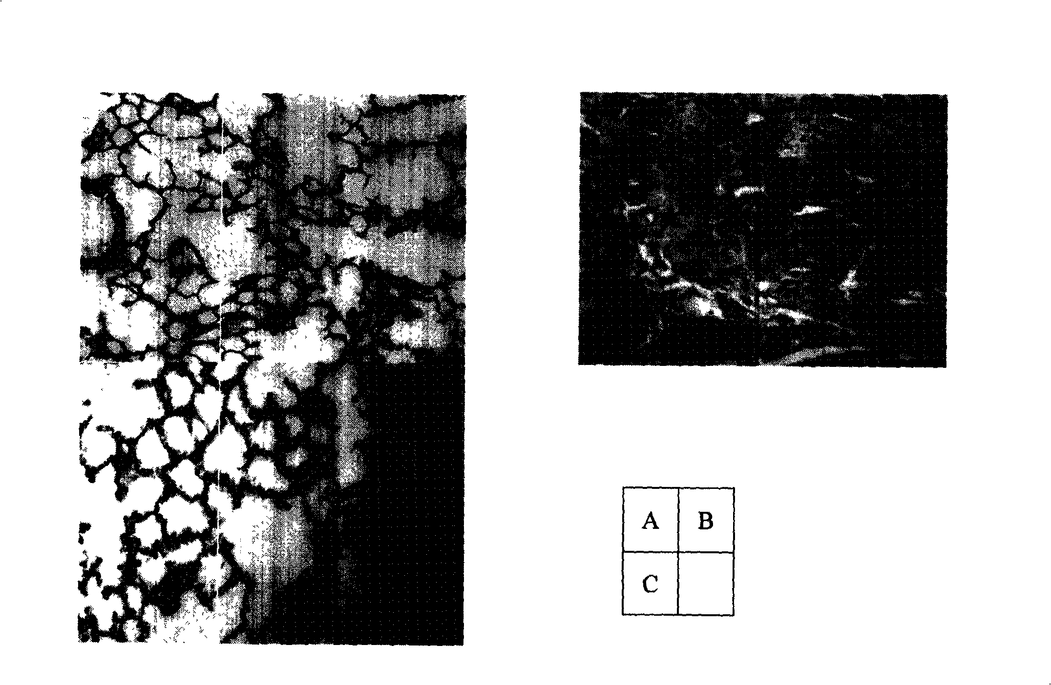 Compound for treating pulmonary fibrosis