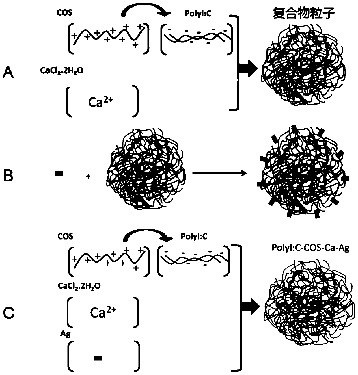 Complex for Enhanced Immune Response