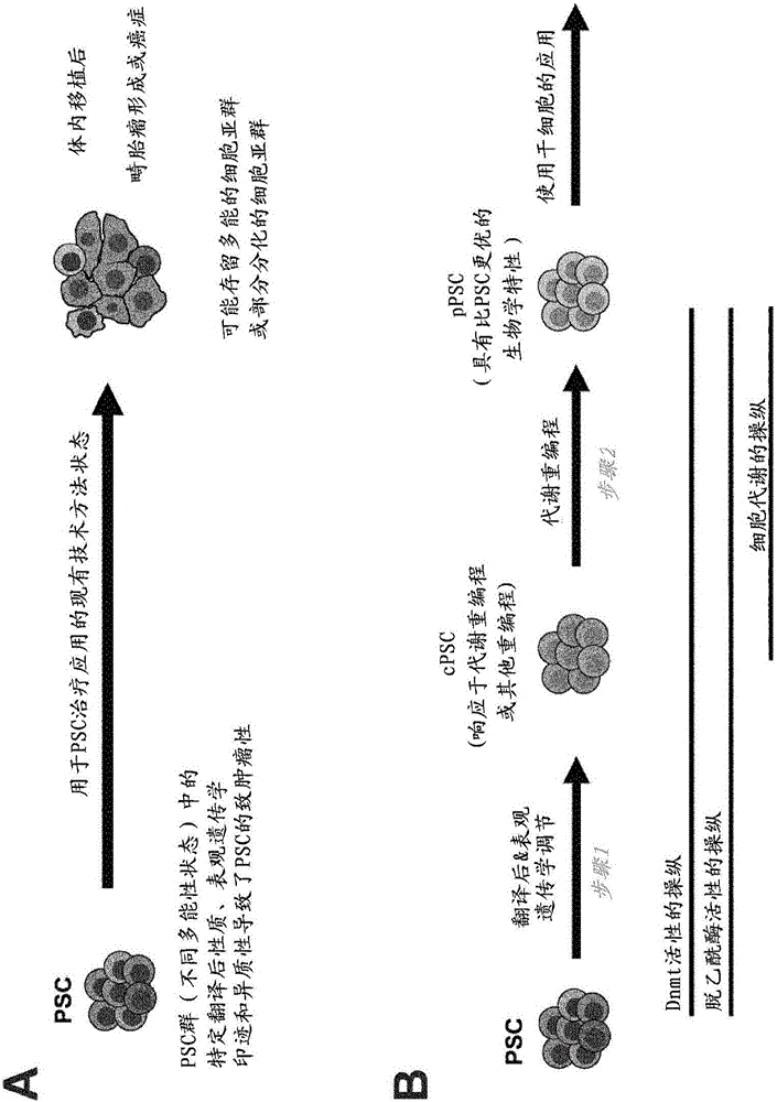 Reprogramming of pluripotent stem cells for improved control of their differentiation pathways