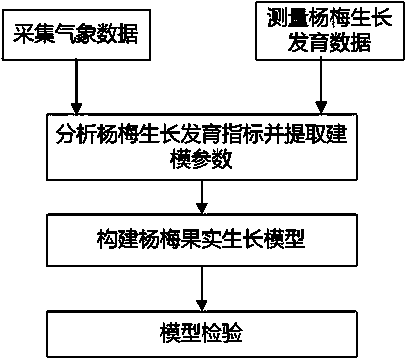 Protected-cultivation waxberry growth simulation method based on mild temperature