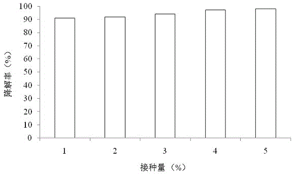 Rhodococcus ruber YMHL-1 capable of degrading nicosulfuron and applications thereof