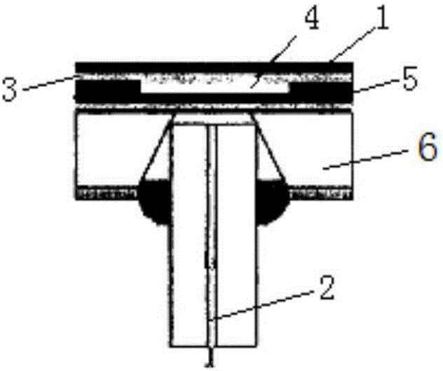 Airplane surface pressure detection system