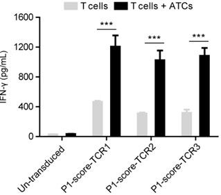 Method for screening tumor specific TCR