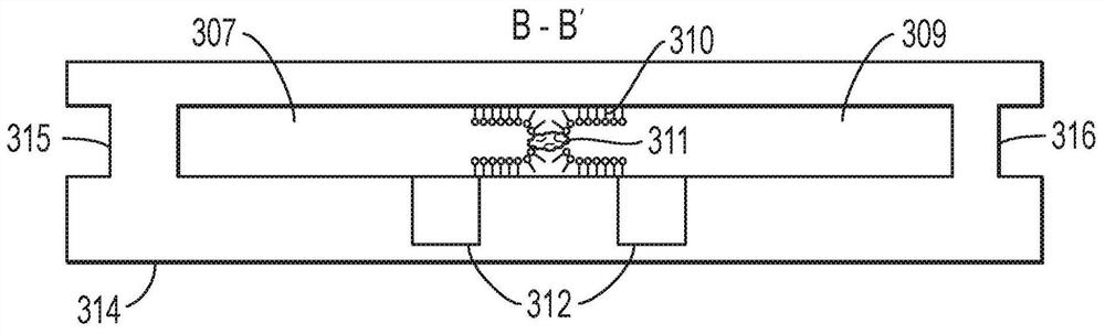 Device and method for continuous diagnosis of macromolecules