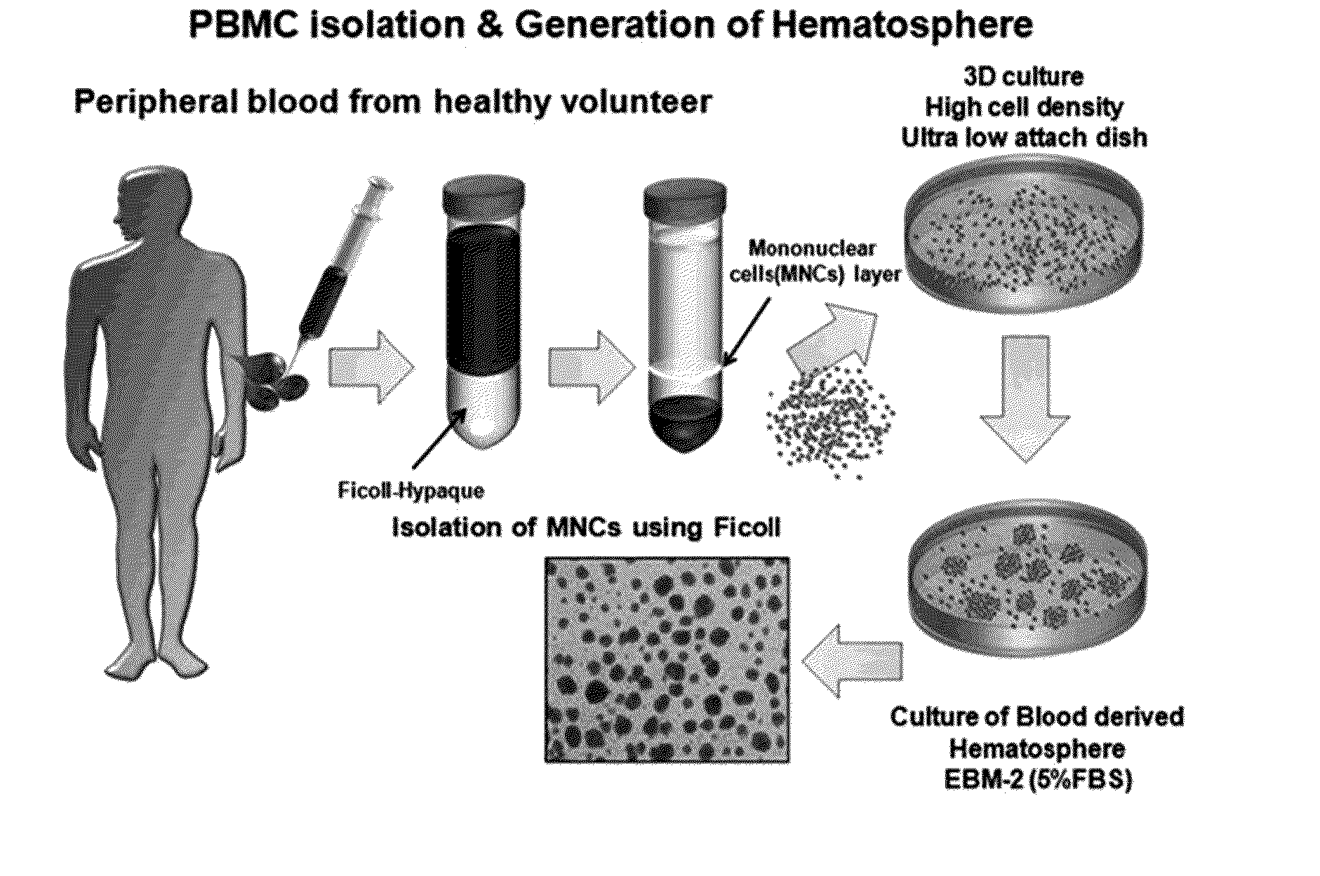 Pharmaceutical Composition Comprising Human-Blood-Derived-Cell Mass