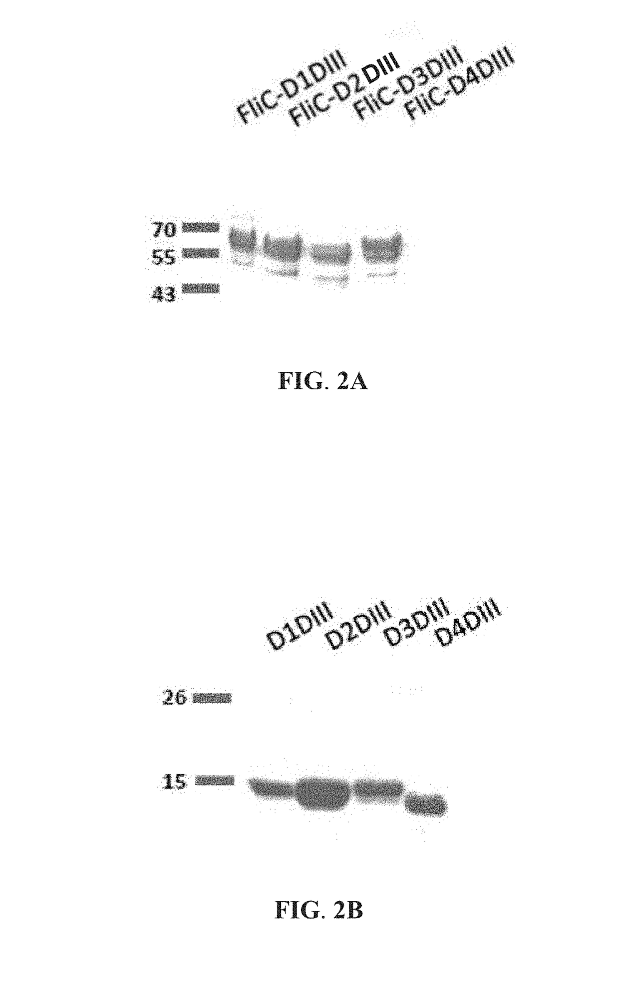 Vaccine combination against multiple dengue virus serotypes and preparation and application thereof