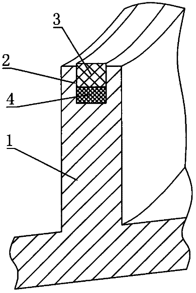 Seal structure of oil-free vortex compressor