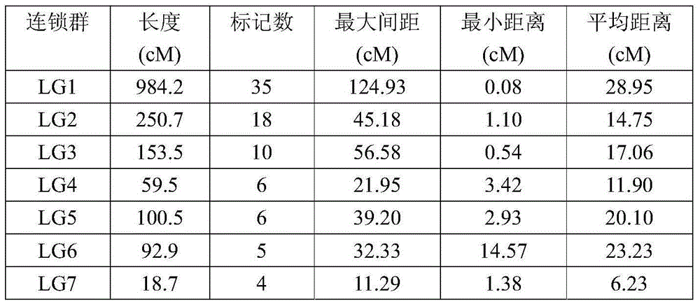 Primer group for construction of mustard SSR genetic map and construction method of genetic map