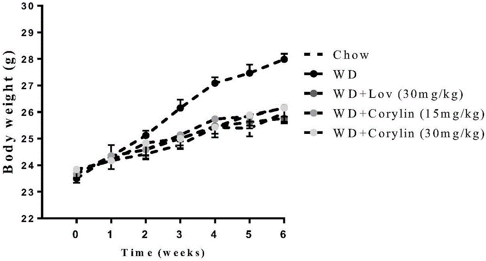 Medicinal application of corylin