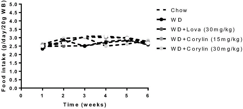 Medicinal application of corylin